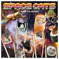 TF Publishing 2025 Space Cats Mini Calendar