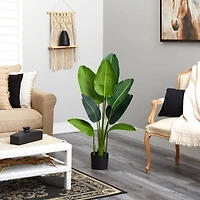 4ft. Potted Travelers Palm Tree