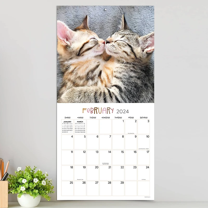 TF Publishing 2024 Cat Dreams Wall Calendar