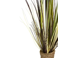2.8ft. Long Grass Plant in Twisted Rope Pot