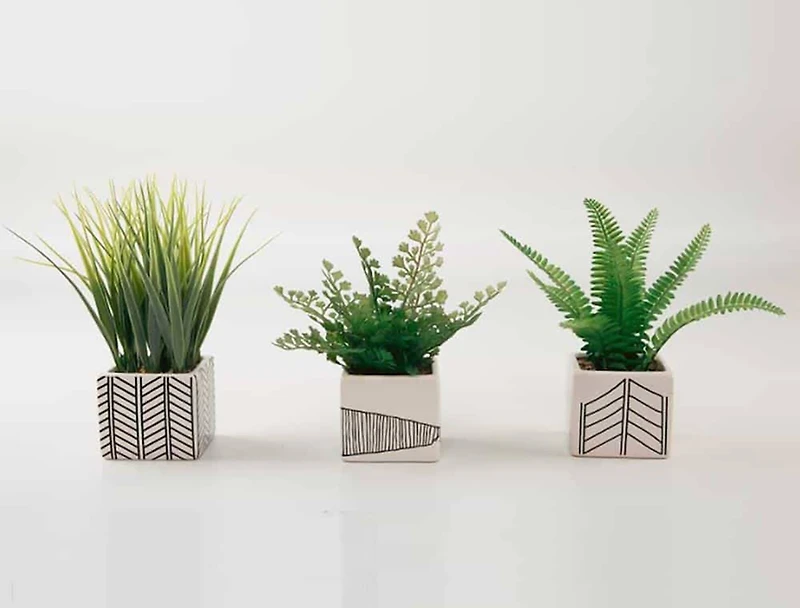 TF Publishing 7" Ferns and Grass in Chevron Pot, 3ct.