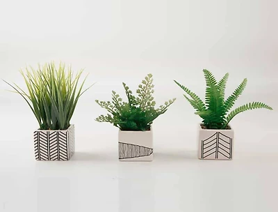 TF Publishing 7" Ferns and Grass in Chevron Pot, 3ct.