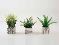 TF Publishing 7" Ferns and Grass in Chevron Pot, 3ct.