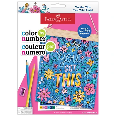 Faber-Castell® You Got This Color by Number Wall Art Kit