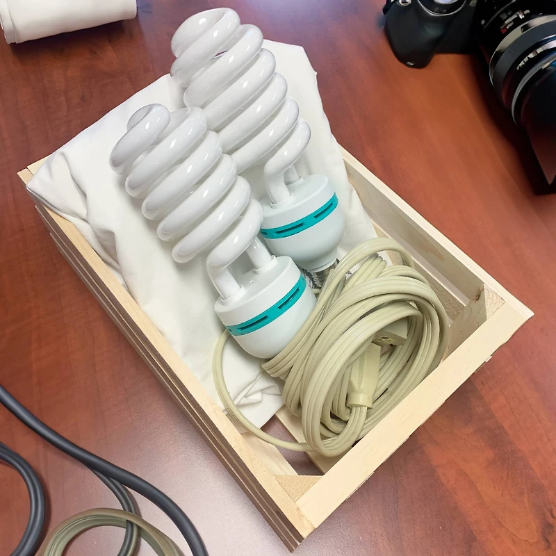 Wilson® Enterprises 12" x 5" Pine Handle Crates, 2ct.