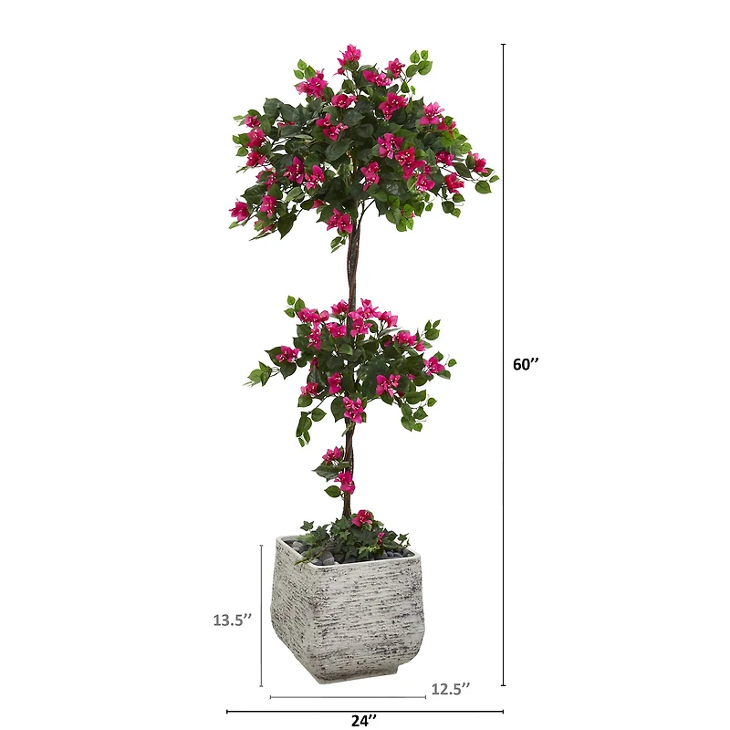 5ft. Bougainvillea Topiary Tree in White Planter