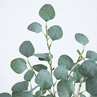 5ft. Pre-Lit Artificial Eucalyptus Tree with Warm White LED Lights