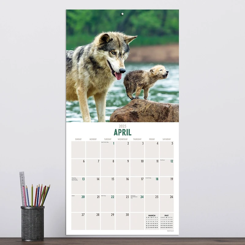 TF Publishing 2025 Wolves Wall Calendar