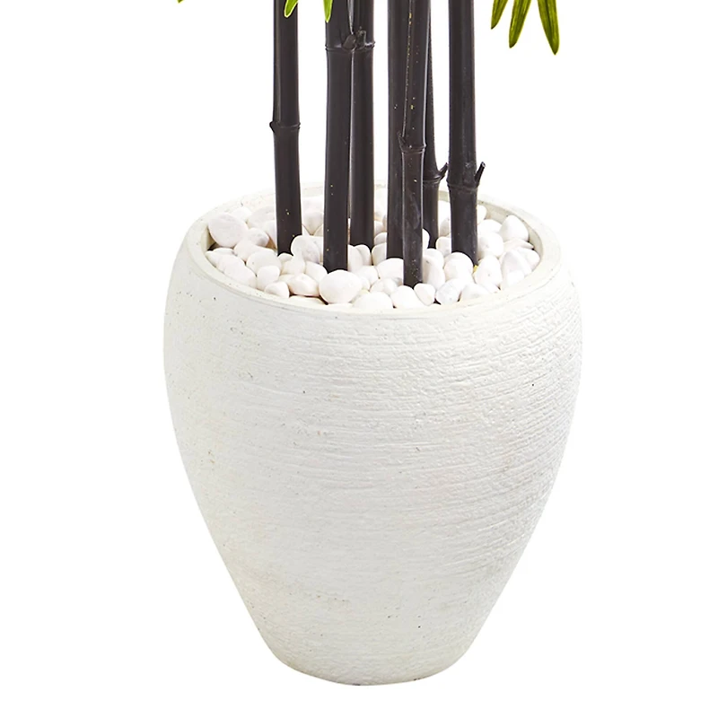 5ft. Bamboo Tree with Black Trunks in Decorative White Planter