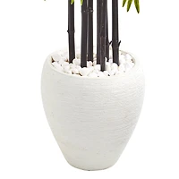 5ft. Bamboo Tree with Black Trunks in Decorative White Planter