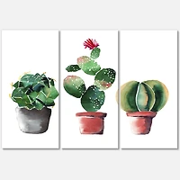 Designart - Three Cactus In Clay Pots
