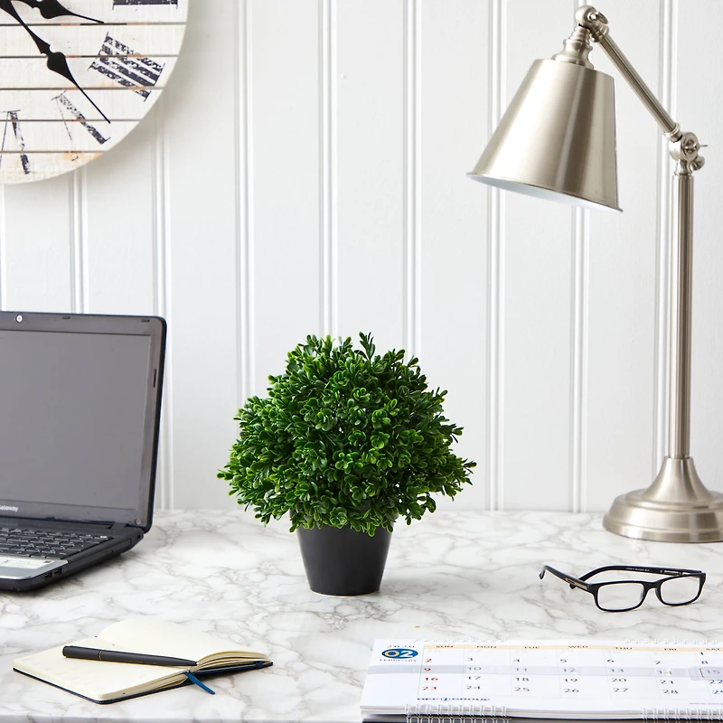 10” Potted Boxwood Topiary Plant