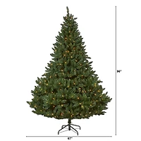 8ft. Pre-Lit Northern Rocky Spruce Artificial Christmas Tree, Clear LED Lights