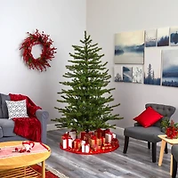 7ft. Pre-Lit Vancouver Mountain Pine Artificial Christmas Tree with Clear Lights