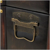 Dark Brown Faux Leather Studded Trunk with Latches & Handles Set