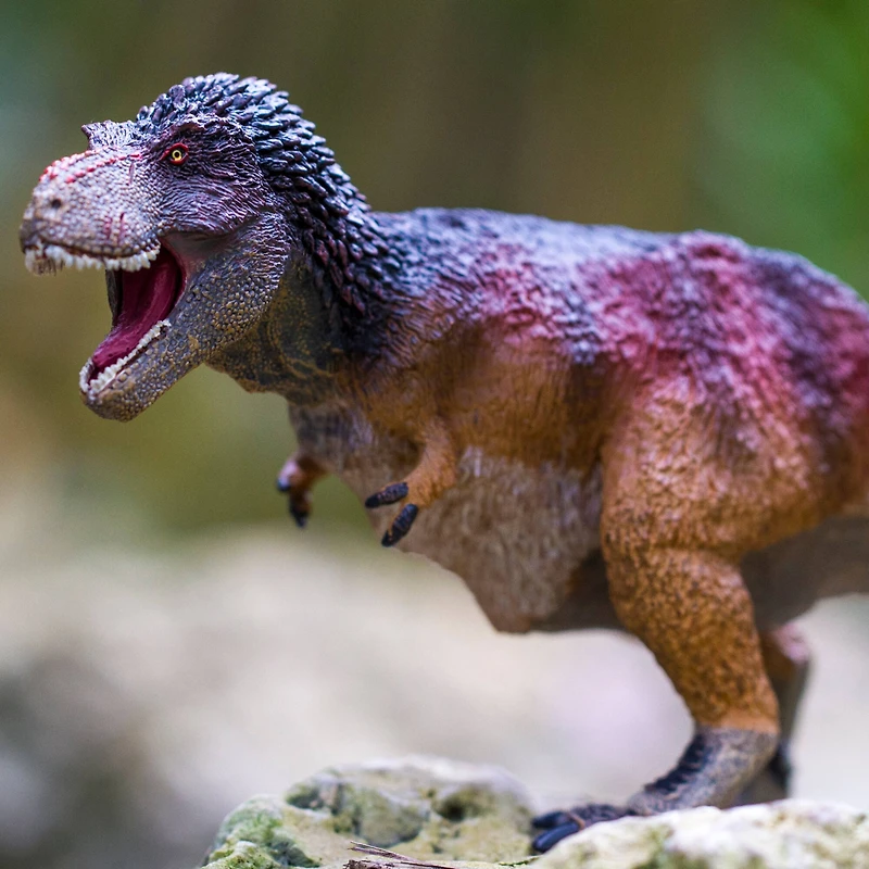 Safari Ltd® Feathered Tyrannosaurus Rex Toy