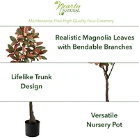 5ft. Potted Fall Magnolia Tree