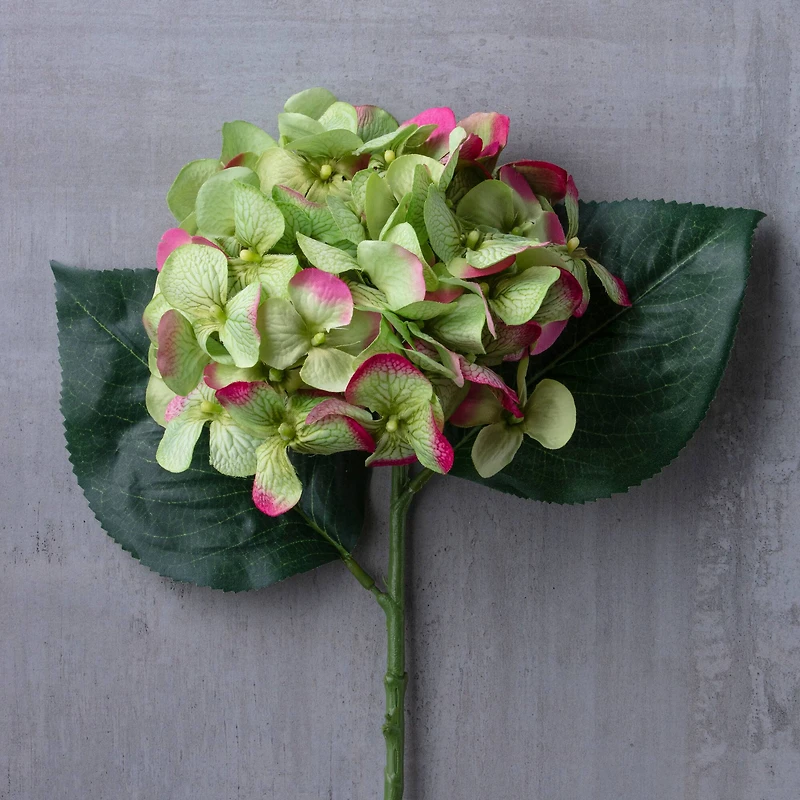 12 Pack: Green Hydrangea Stem by Ashland®