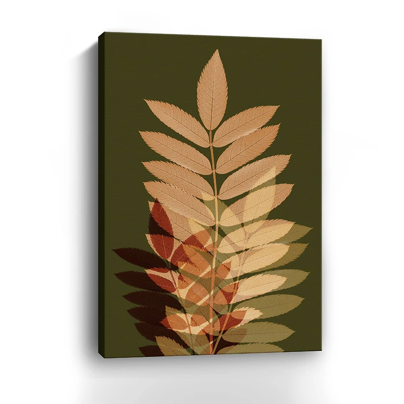 Fall Leaves 2 Canvas Giclee