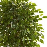6ft. Braided Ficus Tree in Decorative Planter