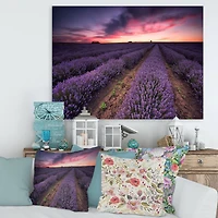 Designart - Sunrise & Dramatic Clouds Over Lavender Field IX