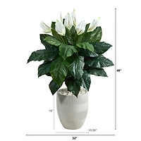 4ft. Peace Lily Plant in White Designer Planter
