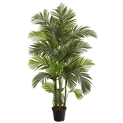 6ft. Potted Areca Palm Tree