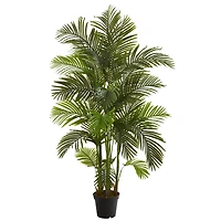 6ft. Potted Areca Palm Tree