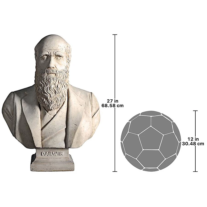Design Toscano 27" The Evolution of Charles Darwin Bust Statue