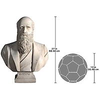 Design Toscano 27" The Evolution of Charles Darwin Bust Statue