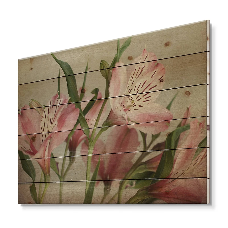 Designart - Retro Alstroemeria Flower