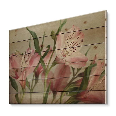 Designart - Retro Alstroemeria Flower