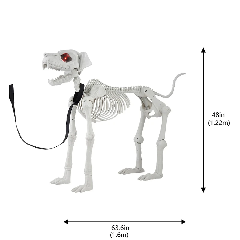 5ft. Poseable Dog Skeleton by Ashland®
