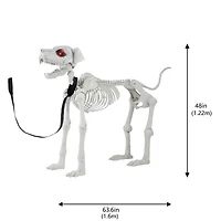 5ft. Poseable Dog Skeleton by Ashland®