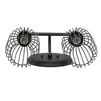 Lalia Home Ironhouse 2 Light Industrial Cage Vanity