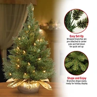 24" Pre-Lit Majestic Fir Tree In Gold Cloth Bag, Clear Lights