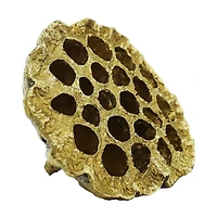 4.25" Gold Lotus Pod Tabletop Décor by Ashland®