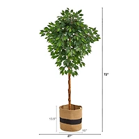 6ft. Artificial Ficus Tree with Basket