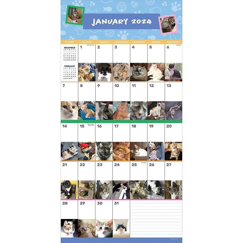 TF Publishing 2024 Cat-A-Day Wall Calendar