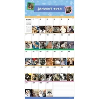 TF Publishing 2024 Cat-A-Day Wall Calendar