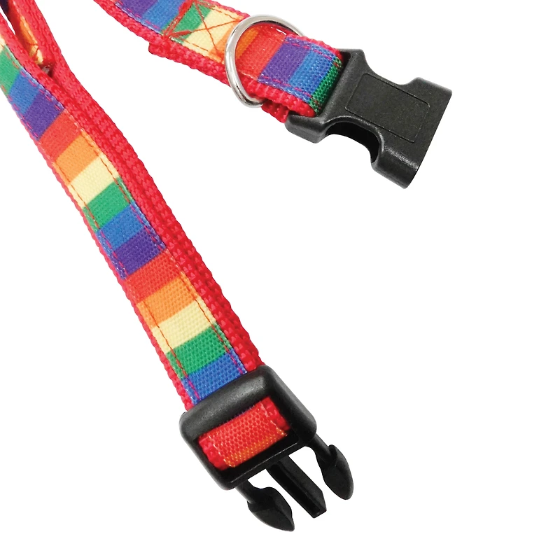 Best Furry Friends Pride Pet Collar