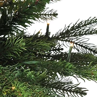 6ft. Pre-Lit Real Touch™️ Oregon Noble Fir Artificial Potted Christmas Tree, Warm Clear LED Lights