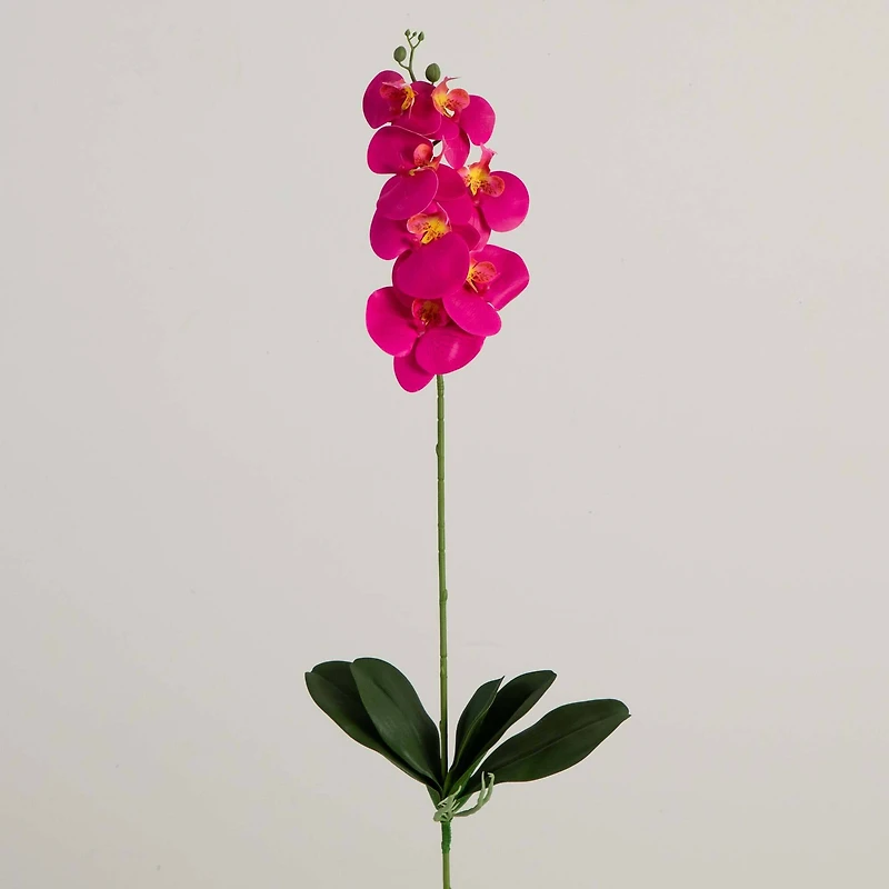 35" Beauty Pink Orchid Flower Stems, 3ct.
