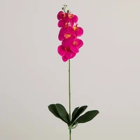 35" Beauty Pink Orchid Flower Stems, 3ct.