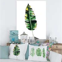 Designart - Single Banana Leaf