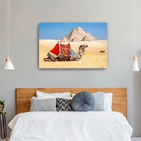 Camel Resting by the Pyramids, Giza