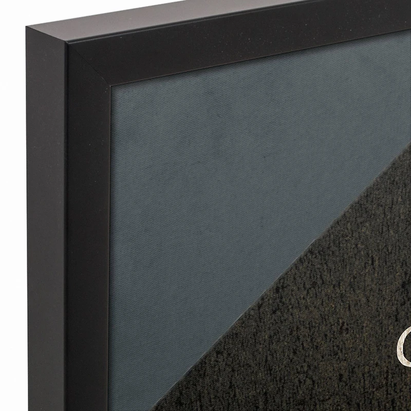 Coop Sweet Coop Black Framed Canvas Wall Art