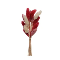 Red & Pink Canary Grass Dried Mini Bundle by Ashland®
