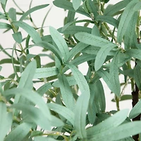 6ft. Pre-Lit Artificial Olive Tree with Warm White LED Lights