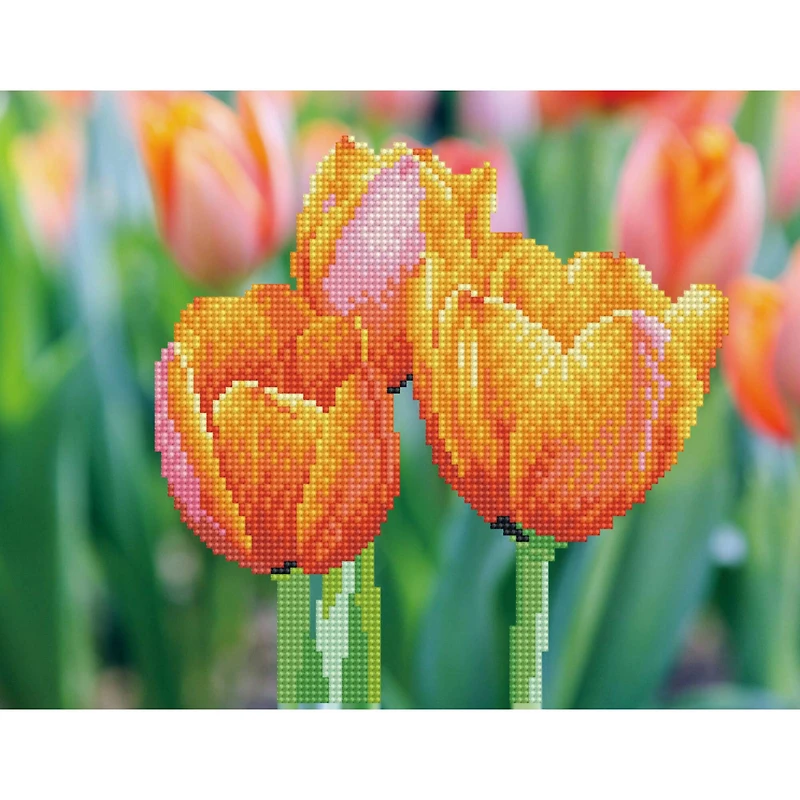 Diamond Dotz® Love Tulips Diamond Painting Kit